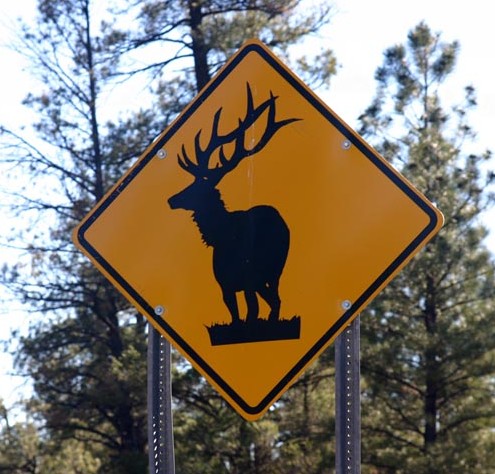 Standhirsch