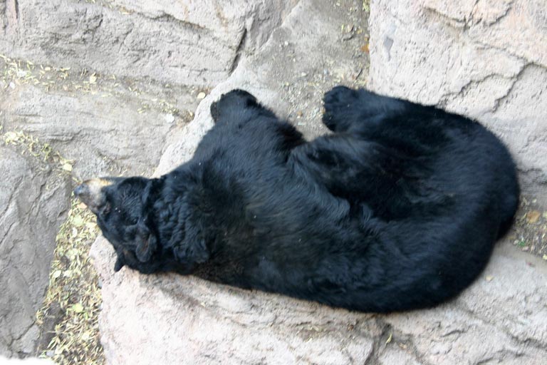 Komm kuscheln!