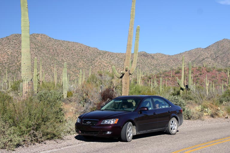 Unser Sonata, natrlich vor Saguaro-Joe!